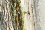Chatoyant, Polished Pietersite Slab - Arizona #146437-1